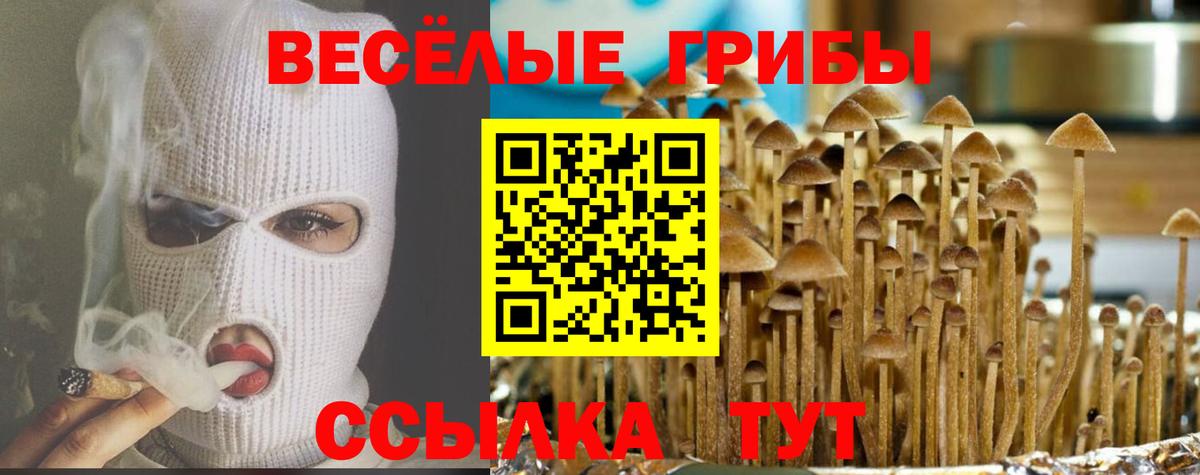 Галлюциногенные грибы ЛСД  Вход с VPN  Ангарск  Галлюциногенные грибы мухоморы 